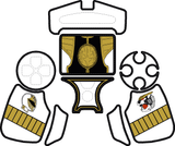 KibaRanger PS4 Controller Skin
