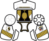 KibaRanger PS4 Controller Skin