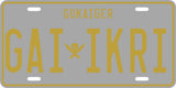 Gokai Silver License Plate