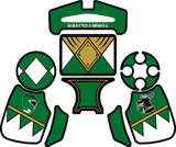 Dragonranger PS4 Controller Skin
