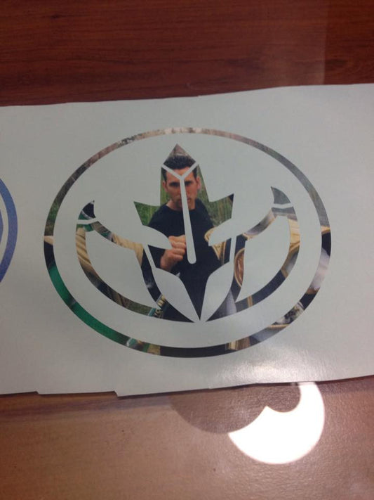 Hybrid Dragon / Tiger Power Coin Decal - Special Printed Version